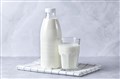 شیر milk